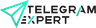 Telegram Expert Logo