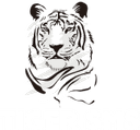 Обзор Tiger SMS 2026: Виртуальные номера для SMS-верификации и активации аккаунтов